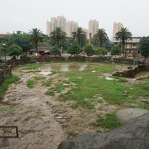 Asian elephant enclosure