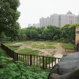 Asian elephant enclosure