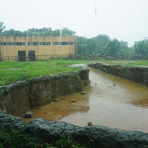 Asian elephant enclosure