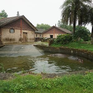 Hippo enclosure