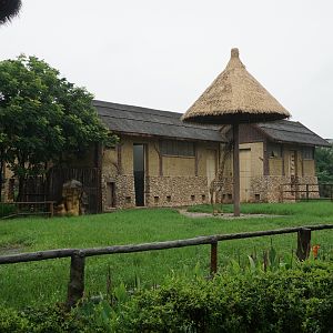 Giraffe enclosure