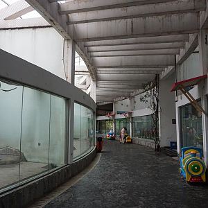 Domestic dog hall inside