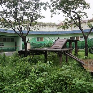 Giant panda enclosure