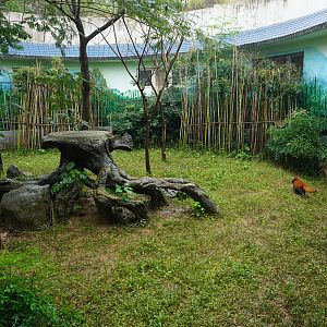 Red panda enclosure
