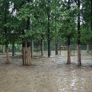 Deer enclosure