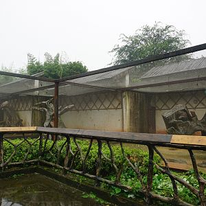 Peacock enclosure