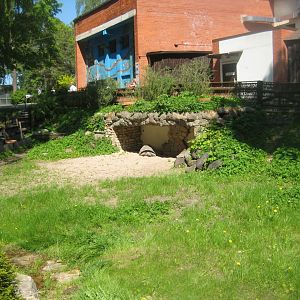 Riga Zoo - Tortoise exhibit