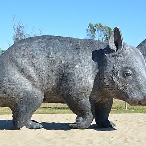 Statue of Northern Hairy-nosed wombat.  Thallon, Queensland
