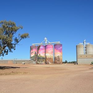 Art work on grain silos.   Thallon.  Queensland
