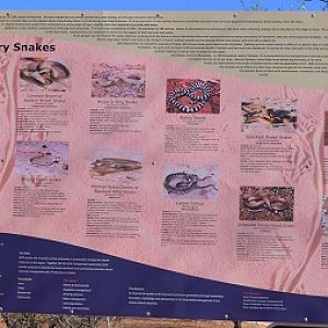 Snake advisory sign.  Q'ld