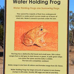 Advisory sign.   Q'ld