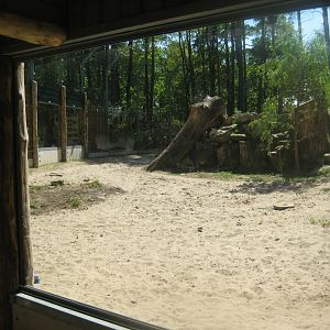 Riga Zoo - Lion exhibit