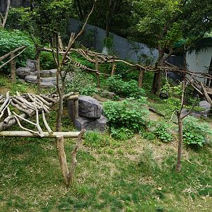 Giant panda enclosure