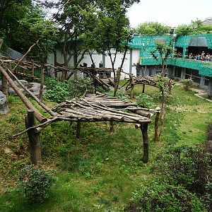 Giant panda enclosure