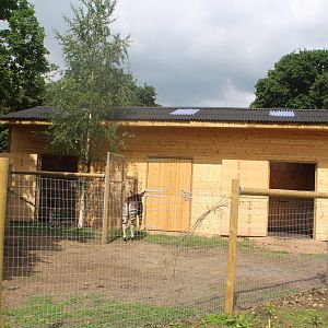 Okapi House