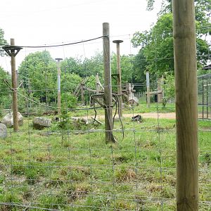 New Andean bear enclosure, June 2018