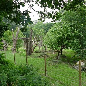 New Andean bear enclosure, June 2018