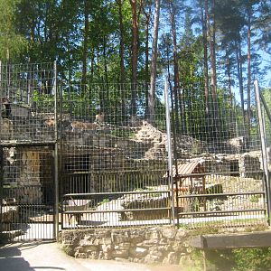 Riga Zoo - Urial exhibit