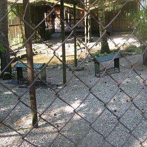 Riga Zoo - Duck aviary