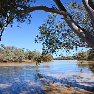 Paroo river.  NSW