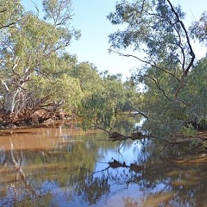 Outback river.   Q'ld