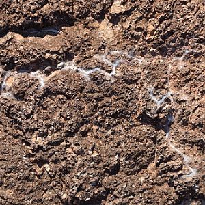 Interesting spider web in crevices.