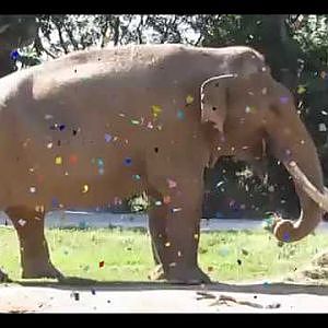 Happy Birthday Dalip!!! - YouTube