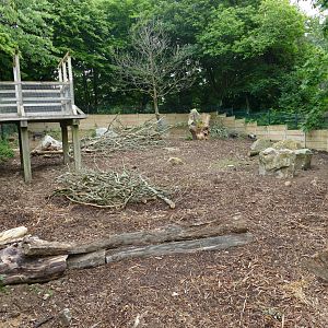 Visayan warty pig enclosure, June 2018