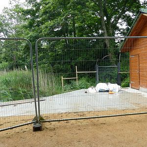 Lemur Lake, June 2018