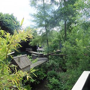 Views from above the Nocturnal House over the park