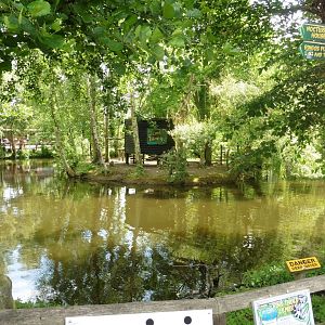 The Ring-tailed Lemur island and lake