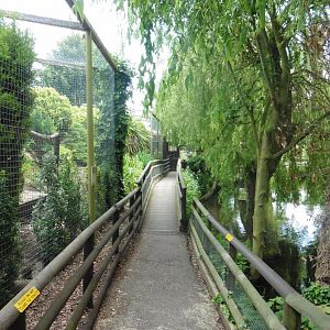 Views of Owl aviaries