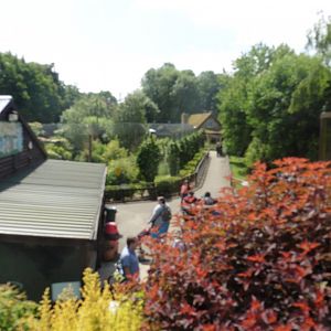 View from steps above Ibis aviary
