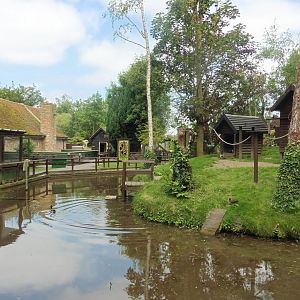Common Marmoset & White-lipped Tamarin island & lake
