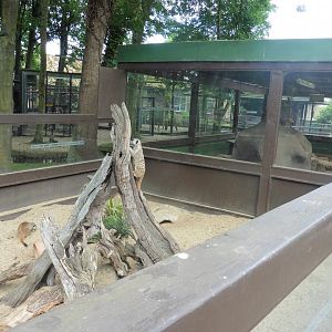 Exterior & interior Meerkat pits