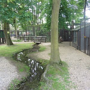 View of the aviaries & enclosures