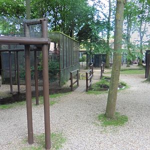 View of the aviaries & enclosures