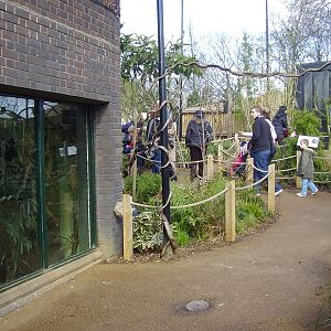 Aviary, Gorilla Kingdom, March 2008