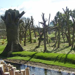 Gorilla Kingdom outdoor habitat - March 2008