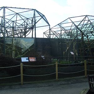 Gorilla Kingdom - mangabey enclosures - March 2008