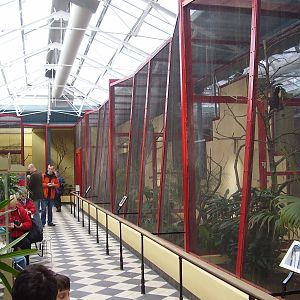 Blackburn Pavillion - Section 1 - Enclosed aviaries