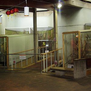 Zoo World - Temporary exhibits