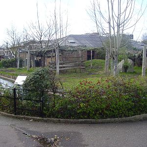 Cotton Terraces - Malayan tapir enclosure