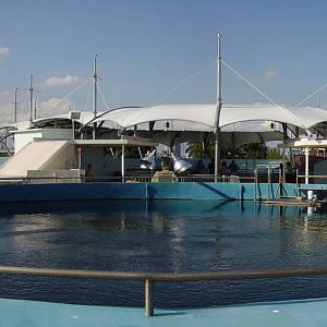 Top Deck of Coral Reef Tank - Miami Seaquarium