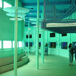 Viewing for Dolphin Tank and Jewel Aquarium Tanks - Miami Seaquarium