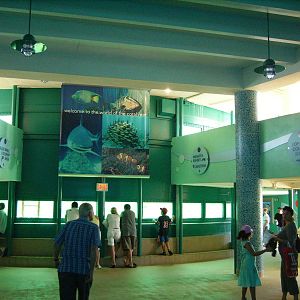 Inside the Miami Seaquarium