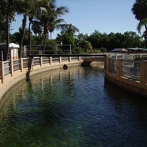 Shark Channel - Miami Seaquarium