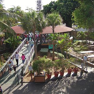 Manatee Exhibit - Miami Seaquarium