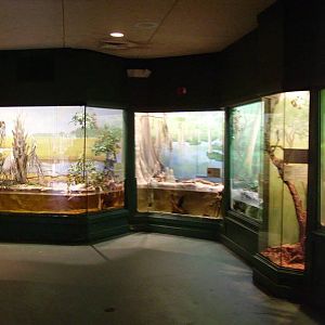 Wild Florida Reptile House