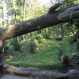 Wolf enclosure @ zoo Brno